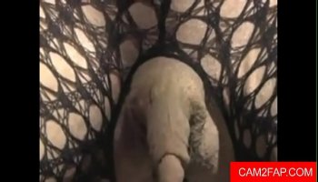 Amateur wife anal gds free hard porn video
